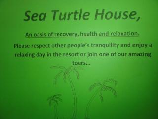 Sea Turtle House Moalboal - 5