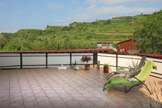 Winzerhof Baumer - Vogtsburg - 4