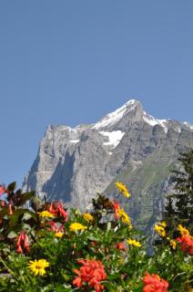 Hotel Gletschergarten - Grindelwald - 3
