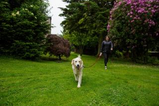 The Murray Park Hotel - Crieff - 7