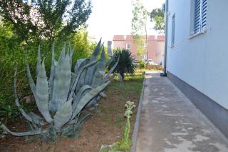 Apartment Marina - Srima - 1