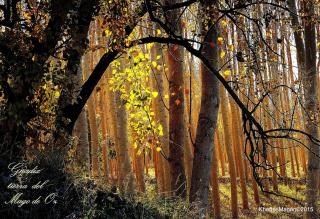 Hotel Palacio de Oñate - 6