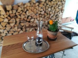 Holiday home Pustodol - 1