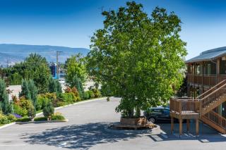 Summerland Motel - Summerland - 1