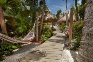 Paradera Park Aruba - Oranjestad - 3
