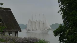 La Bonne Auberge - Seine Panorama SAS - 4