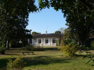 Gite de Monsalut - Cestas - 4