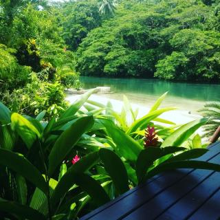 Salt Lake Lodge - Savusavu - 8