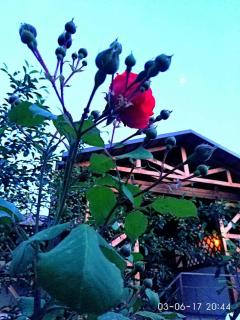 Guest House Albatros - Cholpon-Ata - 3