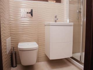 Apartment in the city center in the house with Atlantes - Odessa - 1