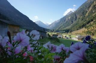 Apartment Voellenklee - Neustift im Stubaital - 5