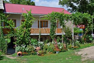 Guest House Aleksandre - T'mogvi - 4