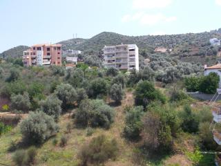 Classic-style apartment - Loutra Edipsou - 3