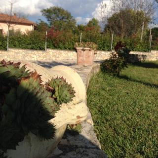 Cherry House Bed&Breakfast - Campobasso - 4
