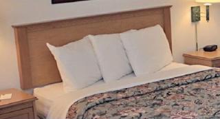 Americas Best Value Inn - Annandale - 9