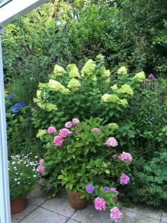 Bed & Breakfast Bigalke - Hamburgo - 2