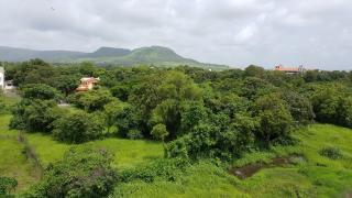 Acons Palm Beach - Alibaug - 1