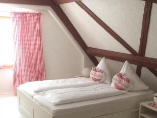 Hotel Nürnberger Hof in Altdorf - Altdorf bei Nuernberg - 4