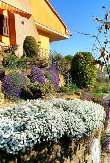 La Mammola Bed&Breakfast - Fabriano - 3