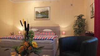 Country House Baranjski Tulipan - 3