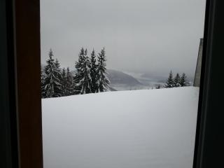 Appartements Le Clos des Gentianes - Allevard - 2