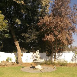 Monica's Guesthouse - Welkom - 3