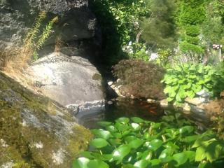 Fornuddens Bed and Breakfast - 1