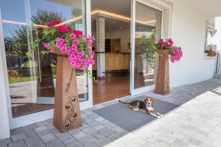 Aparthotel Paradies - Schrempfgut - Flachau - 8