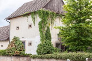 Penzion St. Martin - Spišské Podhradie - 5