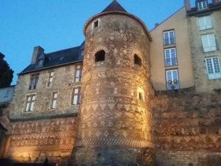 Petite Maison Romantique au calme, Cœur Historique, vue Ville et Jardin - Le Mans - 3