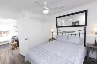 FYNE SHORES - Forster - 4
