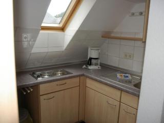 Haus Elsholz Willingen - Willingen - 1