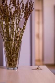 Balokány apartman - Pécs - 3