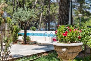 Apartments Tamar - Jelsa - 5