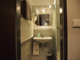 Apartment Harzgrün - Sankt Andreasberg - 1