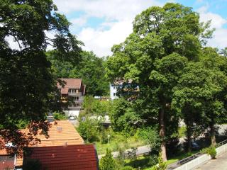 Apartment Harzgrün - Sankt Andreasberg - 5