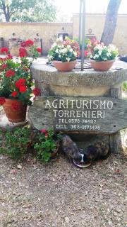 Agriturismo Torrenieri da Alessandro - Pienza - 8