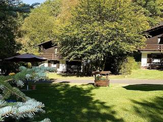 Tidy furnished apartment in wooded area - Schönecken - 0