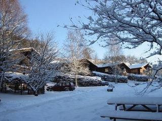 Tidy furnished apartment in wooded area - Schönecken - 9