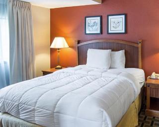 Extended Studio Suites Hotel- Bossier City - Bossier City - 9