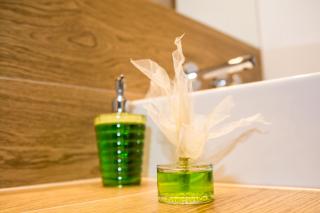 ELuxuria GREEN HlLL Apartment przy stoku narciarskim OZONOWANY - Krynica-Zdrój - 1