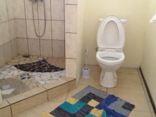 Pension Turiroa " Chez Olga" - Avatoru - 9