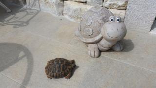 Apartment Old Cottage - 3