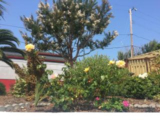 Hitching Post Studios Inn - Santa Cruz - 4