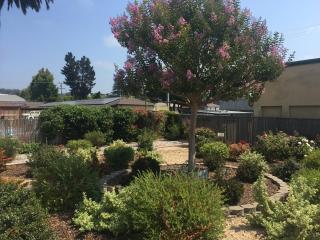 Hitching Post Studios Inn - Santa Cruz - 5