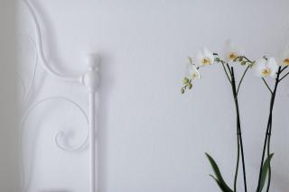 DUSSAIGA - Camera Delle Rose - 1