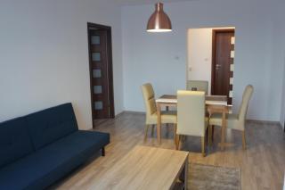Joy Apartment - Timişoara - 6