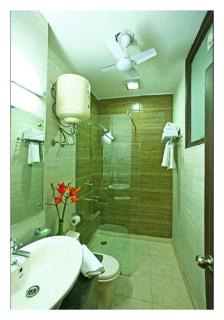 Evergreen 2BHK Service Apartment Vasant Kunj Fortis ILBS - 6
