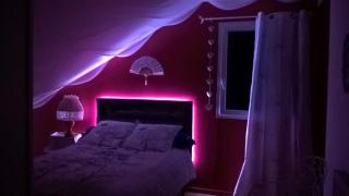 Les Nids de Mesanges Chambre d'hôtes - Selonnet - 0