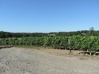Gite au calme en Armagnac - Sion - 4